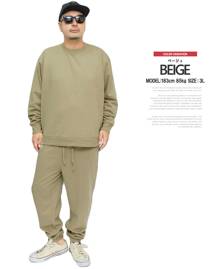 楽天市場】送料無料 セットアップ メンズ 大きいサイズ 裏起毛 無地