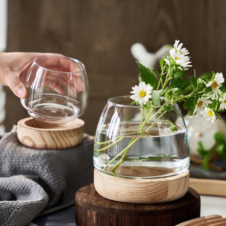 楽天市場】透明 金魚鉢 睡蓮鉢 鉢 メダカ鉢 多機能 丸 クリア 金魚鉢