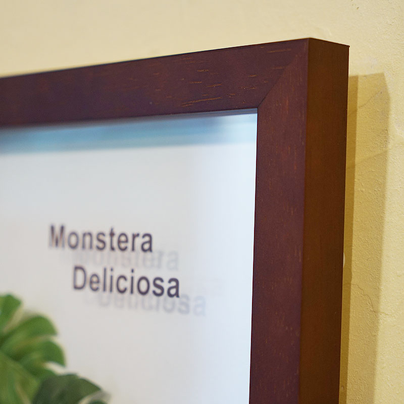 楽天市場】リーフパネル モンステラ3 額 MONSUTERA ブラウン フェイク