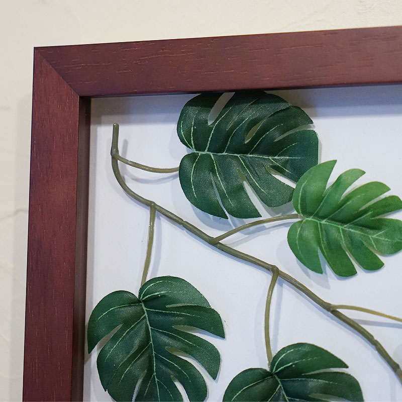 楽天市場】リーフパネル モンステラ3 額 MONSUTERA ブラウン フェイク
