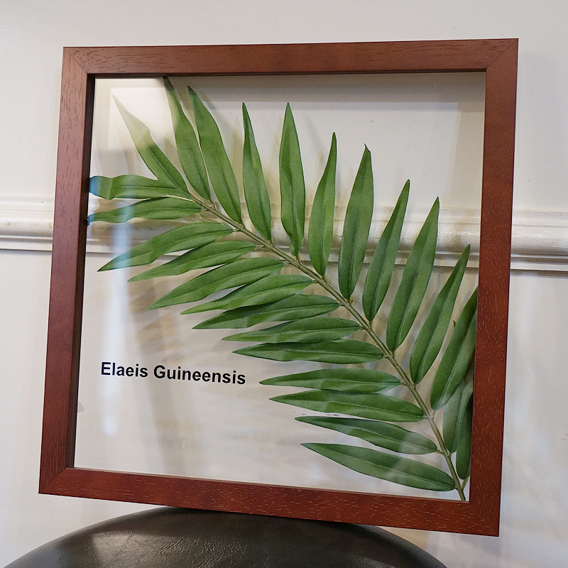 楽天市場】リーフパネル アブラヤシ 葉 フレーム 額 ブラウン フェイク