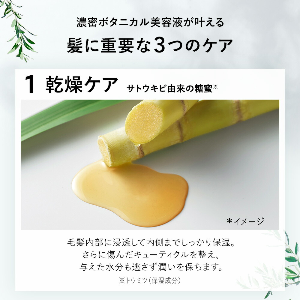 楽天市場】3/4 15時〜≪1000円ポッキリ！≫ BOTANIST ボタニスト