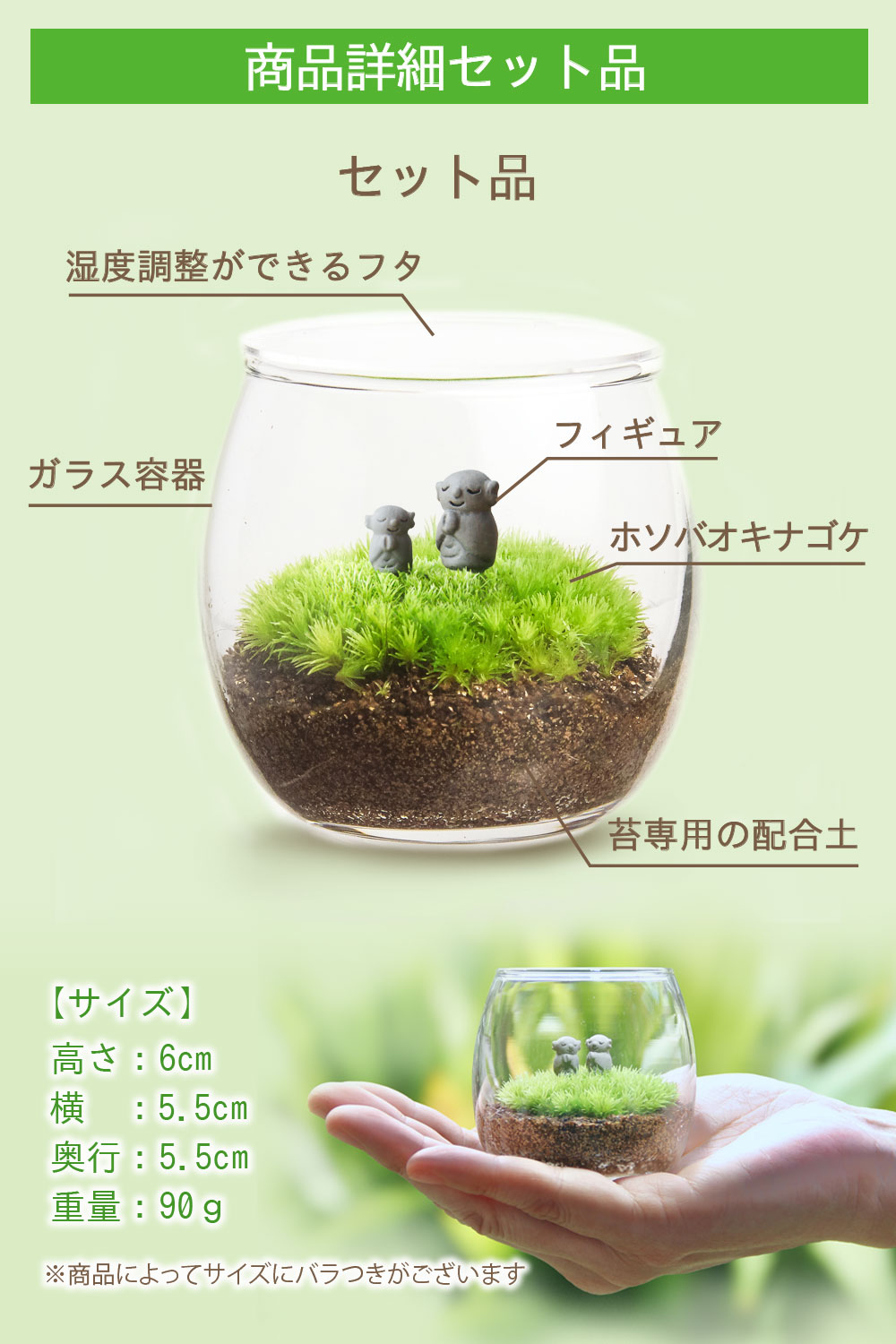 楽天市場】苔テラリウム完成品 [おちょこけ] デスク 癒し 卓上