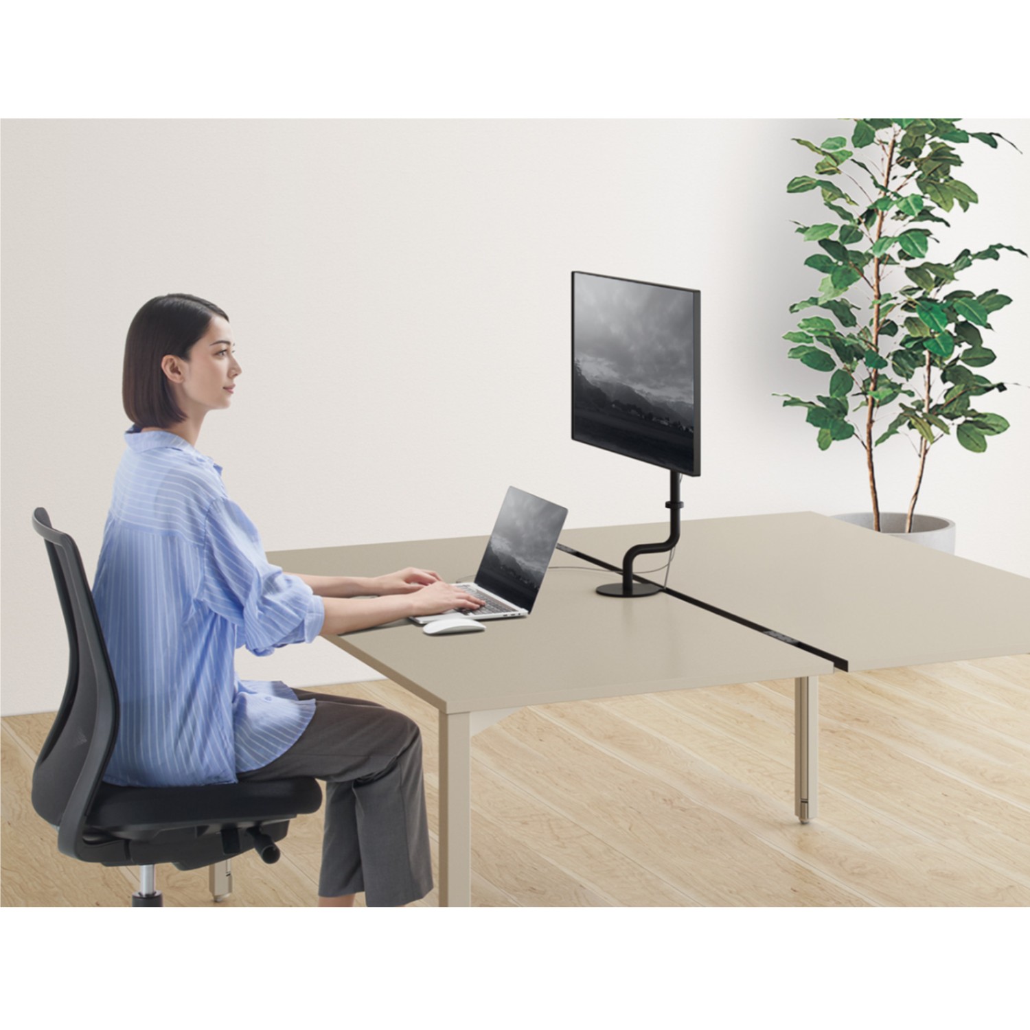 楽天市場】コクヨ モニターアーム Loopo ルーポ クランプ式 角度調整