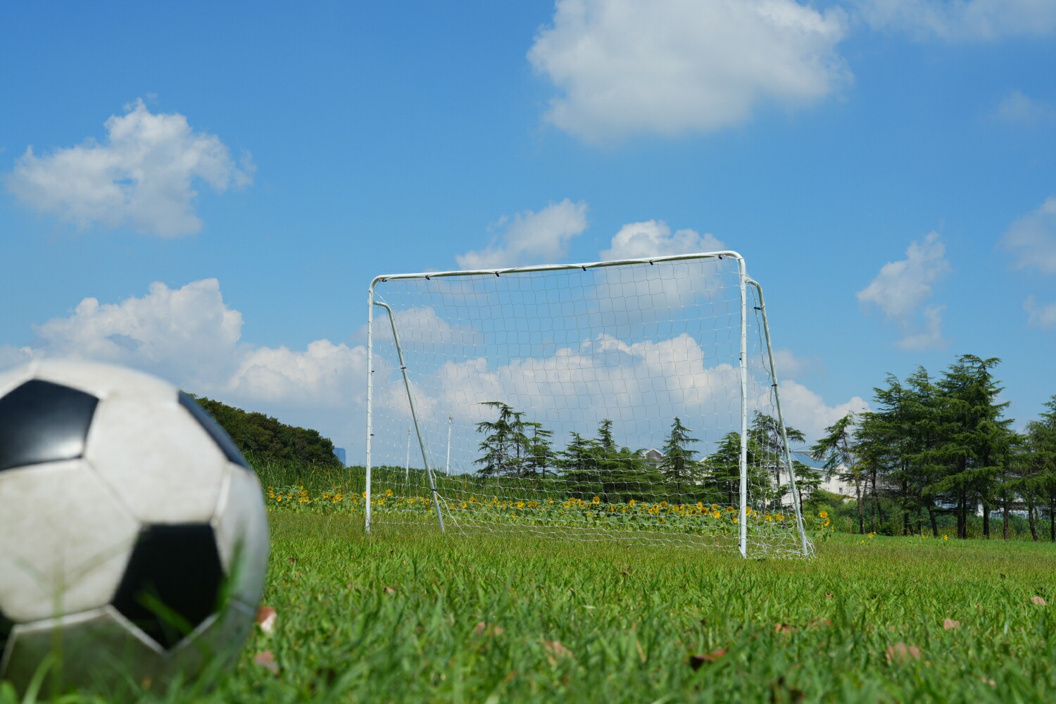 楽天市場】フットサルゴール 組み立て式 3m×2m 公式サイズ 組み立て式