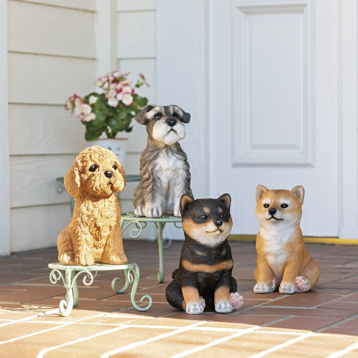 楽天市場】【入荷未定】HH30394 ラブリードッグドック 豆柴 黒