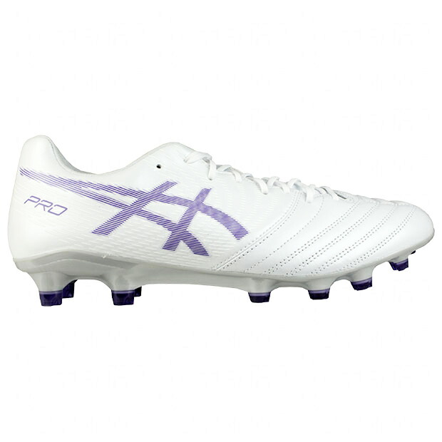 楽天市場】【3/4 20時からポイント10倍】DSライト X-FLY PRO 2