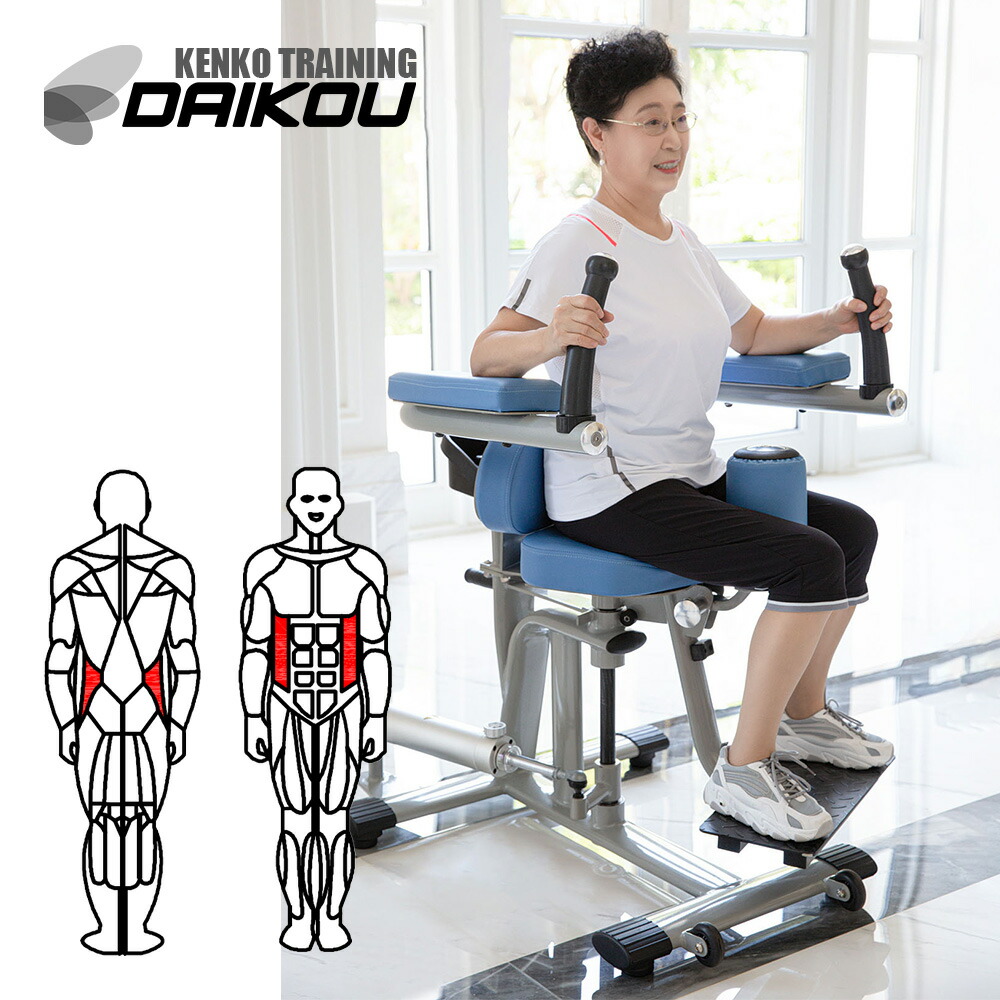 楽天市場】油圧GYMマシン 準業務用 ロータリートルソー トレーニング