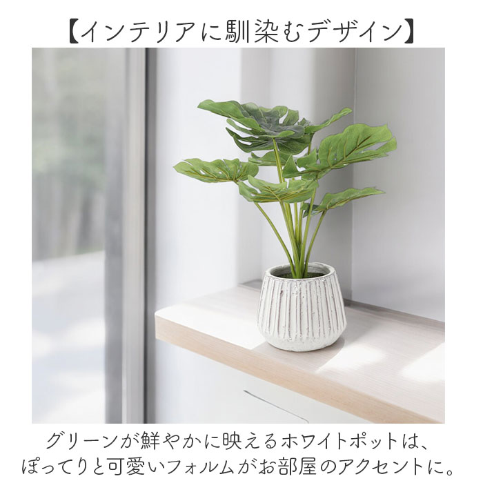 楽天市場】光触媒 人工観葉植物 定番 イミテーショングリーン