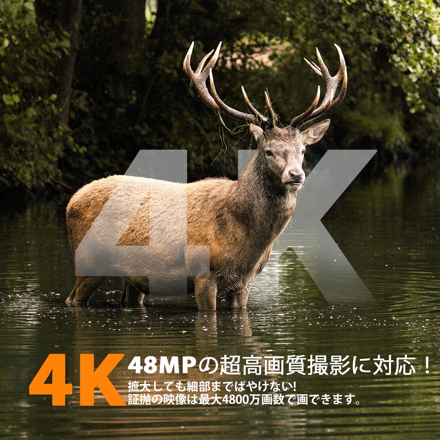 楽天市場】【【32GBのSDカードが付属】ソーラー対応 &WiFi電源不要