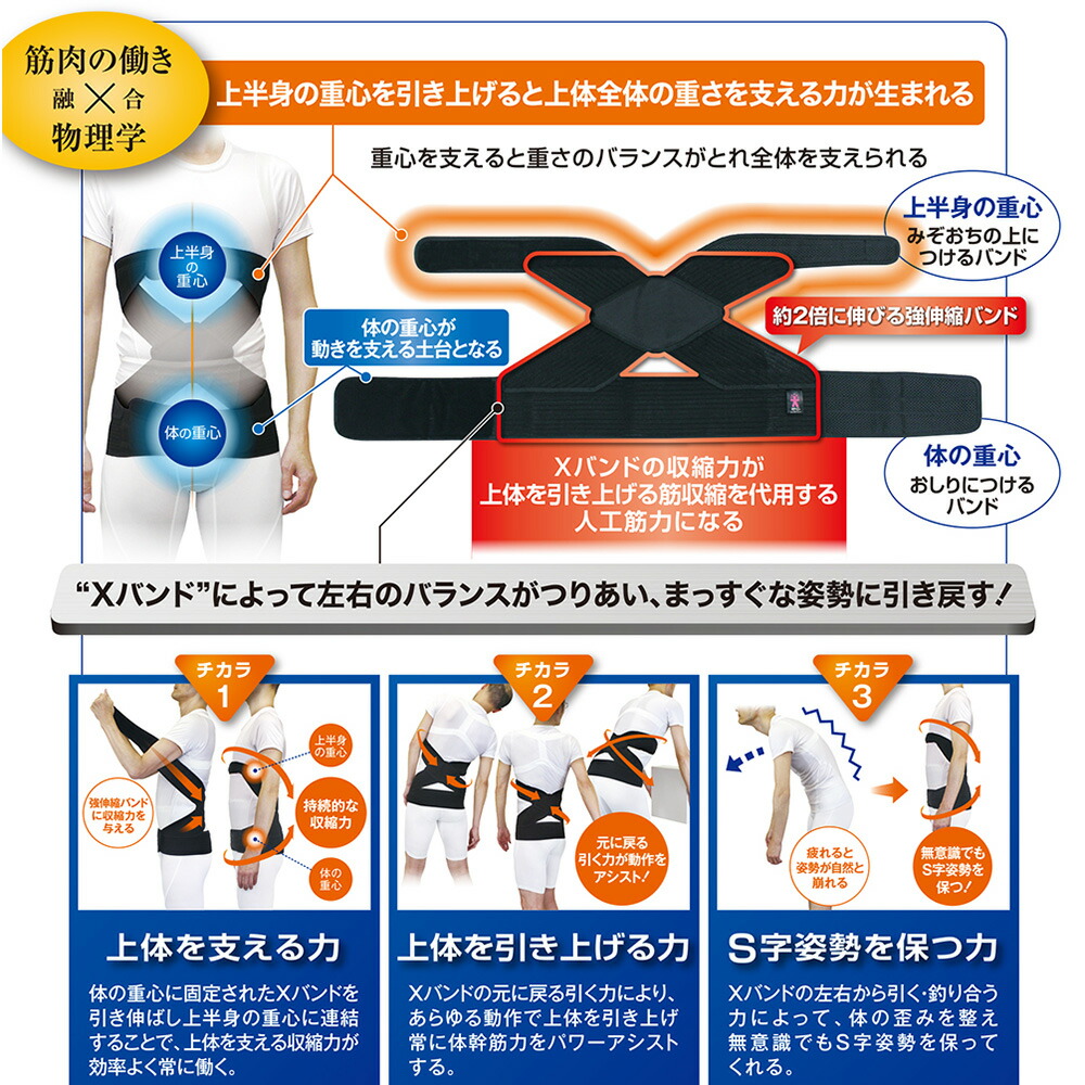 楽天市場】体幹筋サポーター パワーアシストバンド 体幹 腰 腰痛
