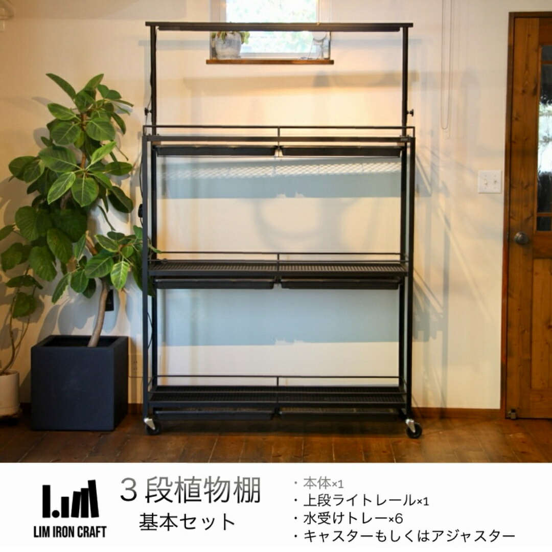 楽天市場】水受けトレー付植物棚 ガベラック 植物棚 アガベ 塊根植物