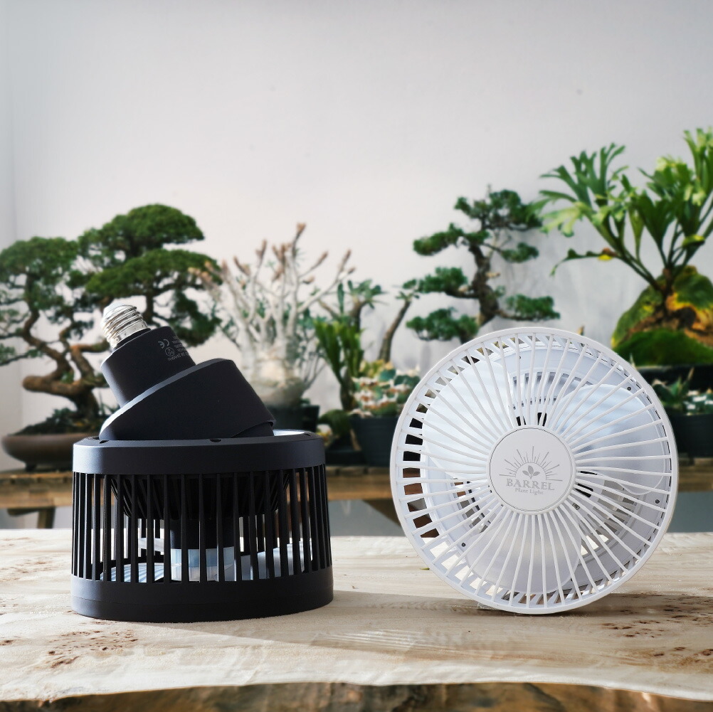 楽天市場】BARREL エクメアムーブ Aechea move ブラック BLACK 湿気