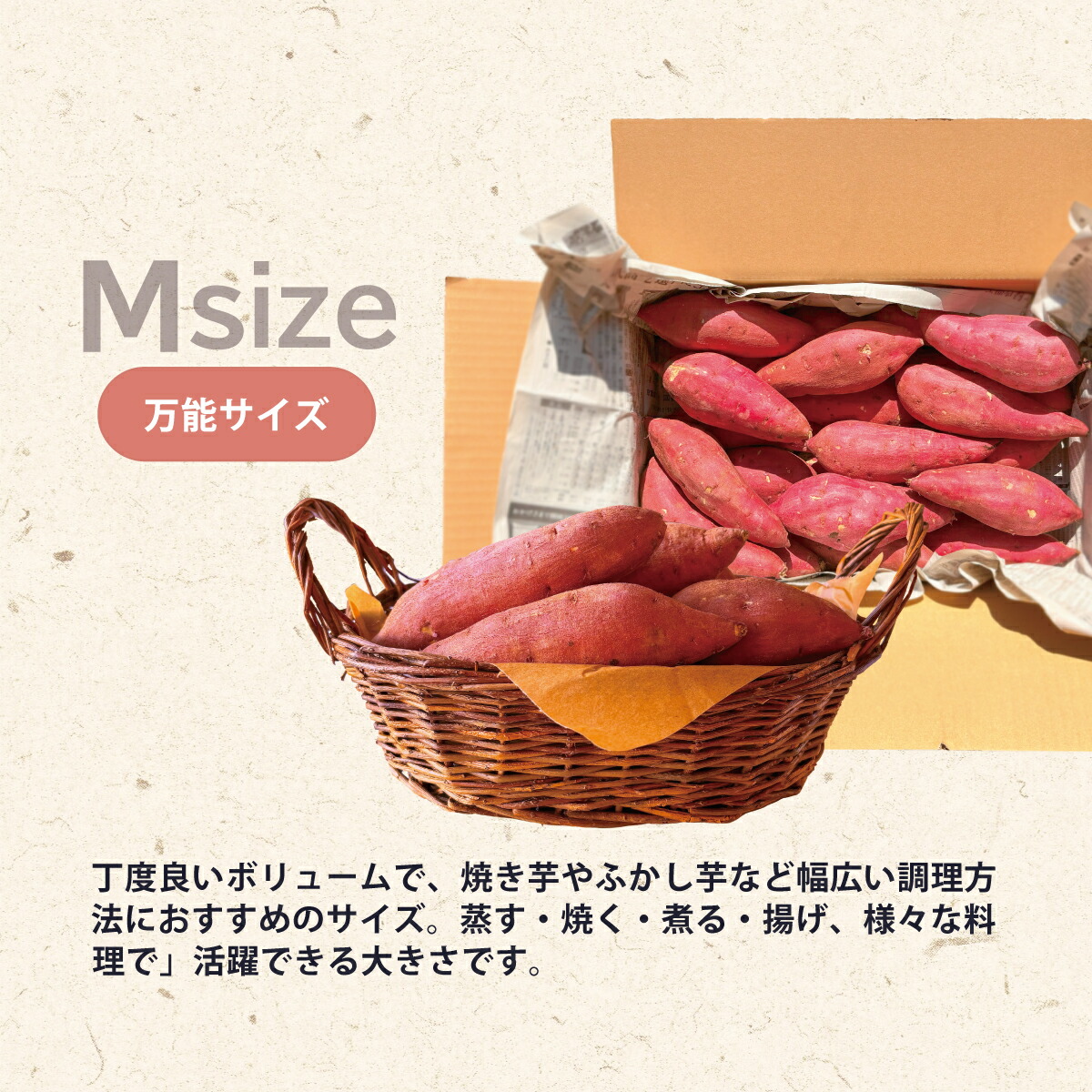 楽天市場】茨城県産 紅はるか さつまいも 5kg サツマイモ ねっとり
