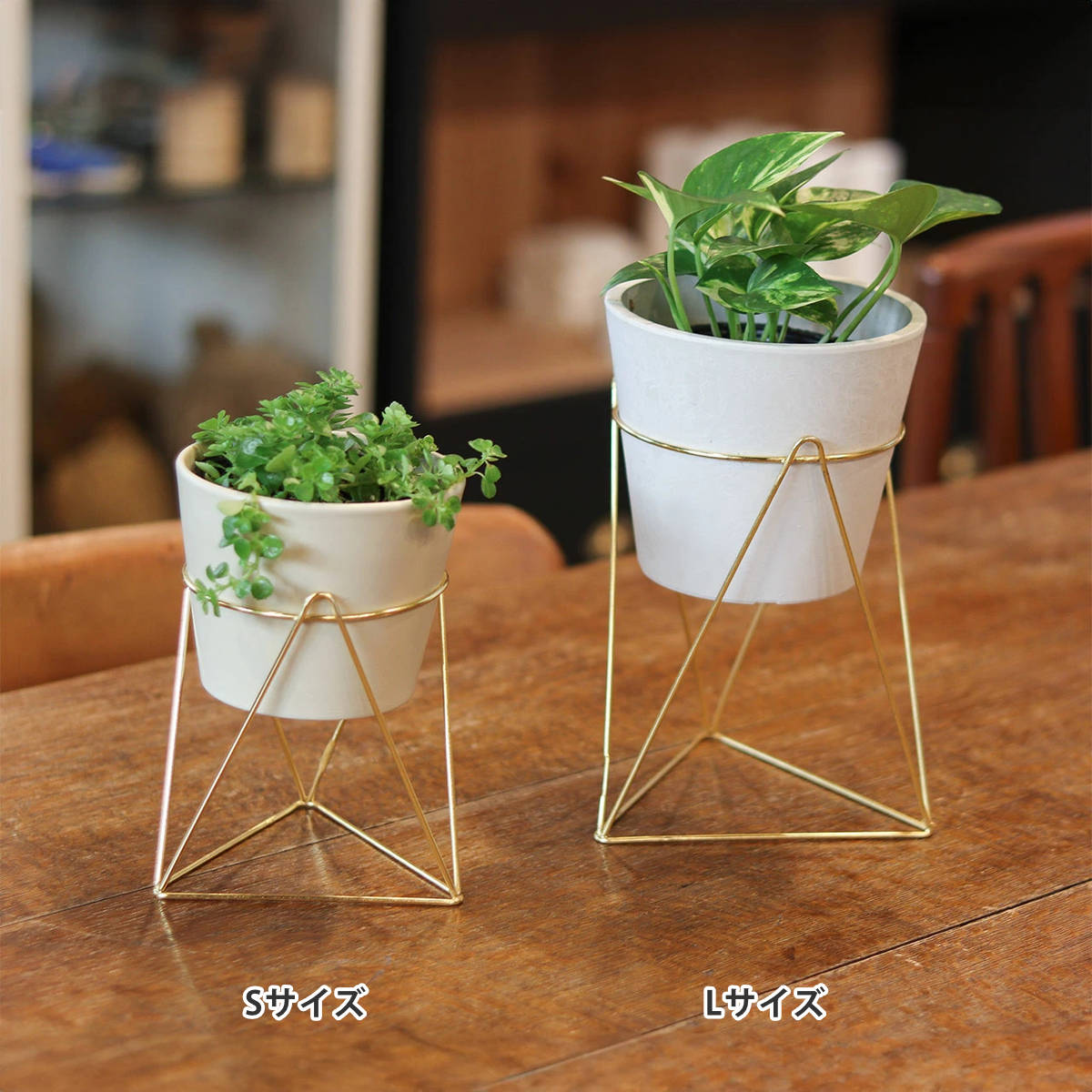 楽天市場】フラワースタンド インブルーム ラインポットスタンド S L