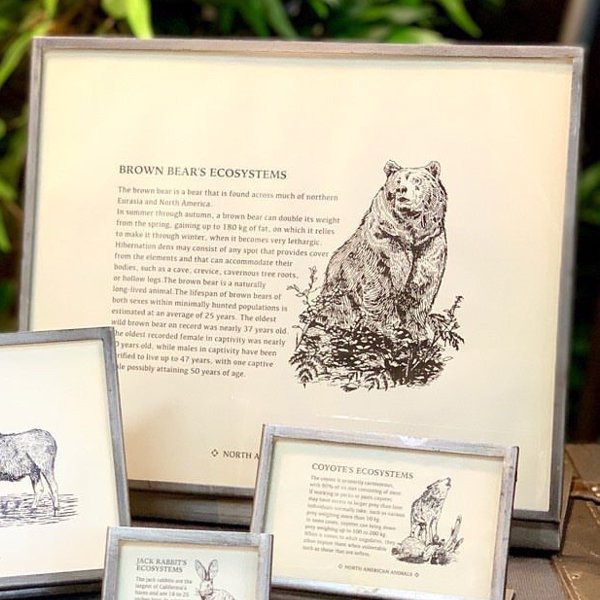 楽天市場】フレーム メタル 幅20.5cm ダルトン DULTON （ 写真立て