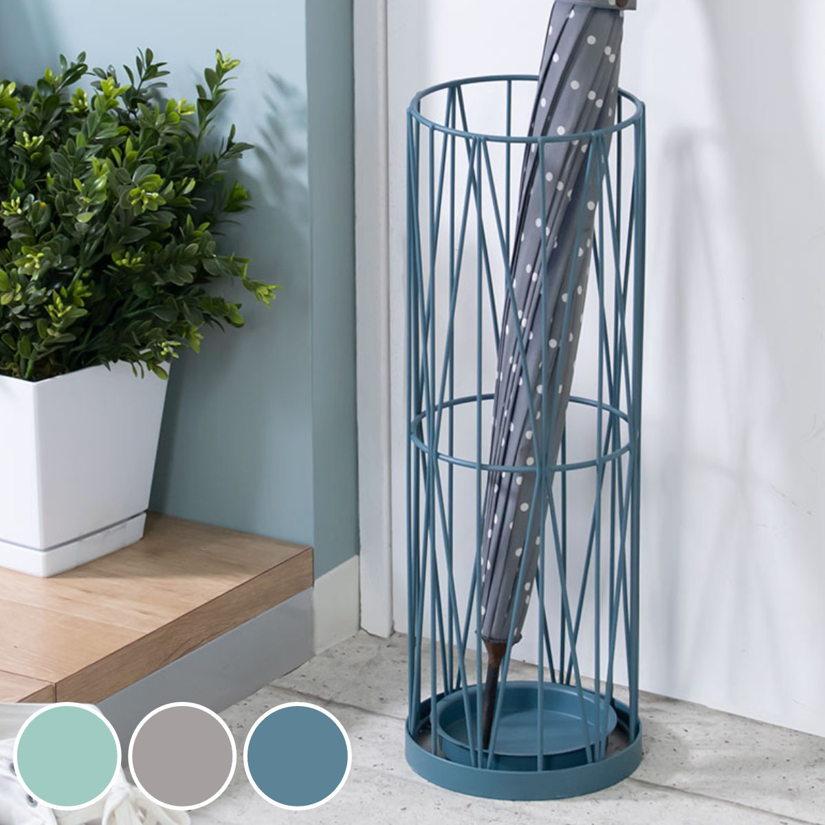 楽天市場】傘立て ウィル 円柱 受け皿付き （ アンブレラスタンド 傘