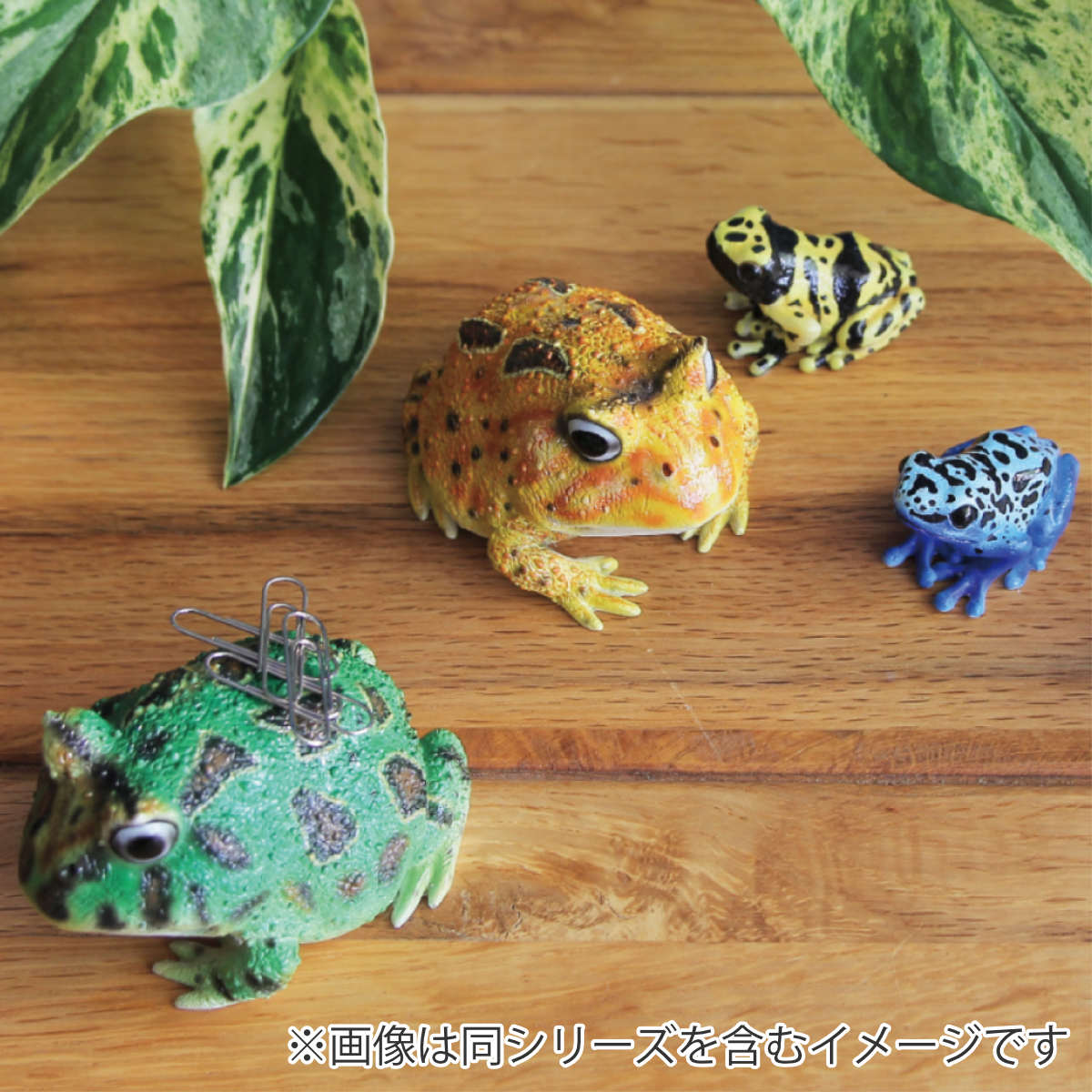 OAKLEY JAPAN 2010 蛙 カエル 置物 インテリア オークレイ OAKLEY