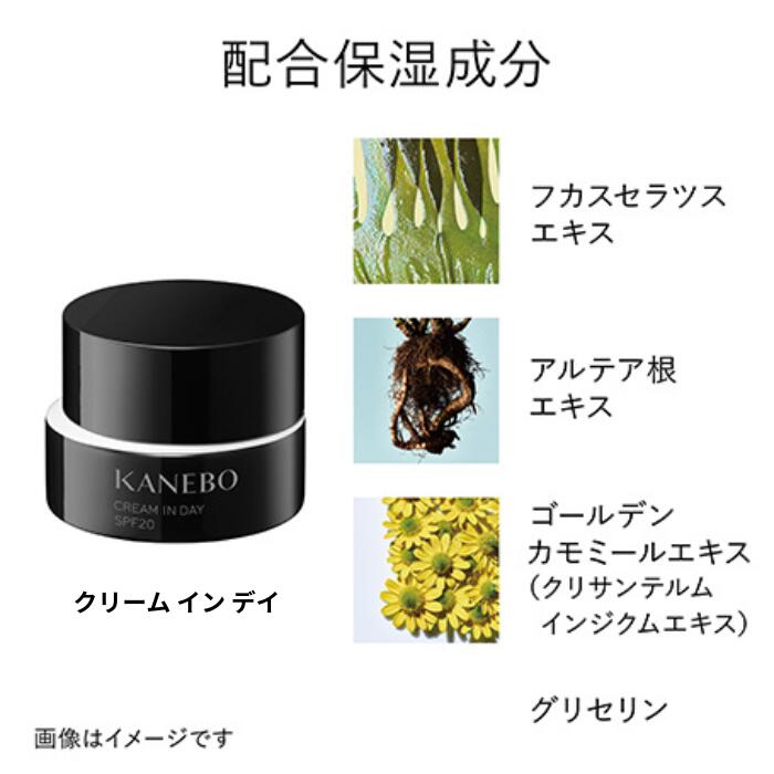 楽天市場】カネボウ クリーム イン ナイト 40g クリーム イン デイ 40g