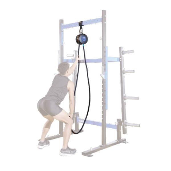 楽天市場】【最大2000円割引クーポン！枚数限定3/6 09:59まで】ニシ