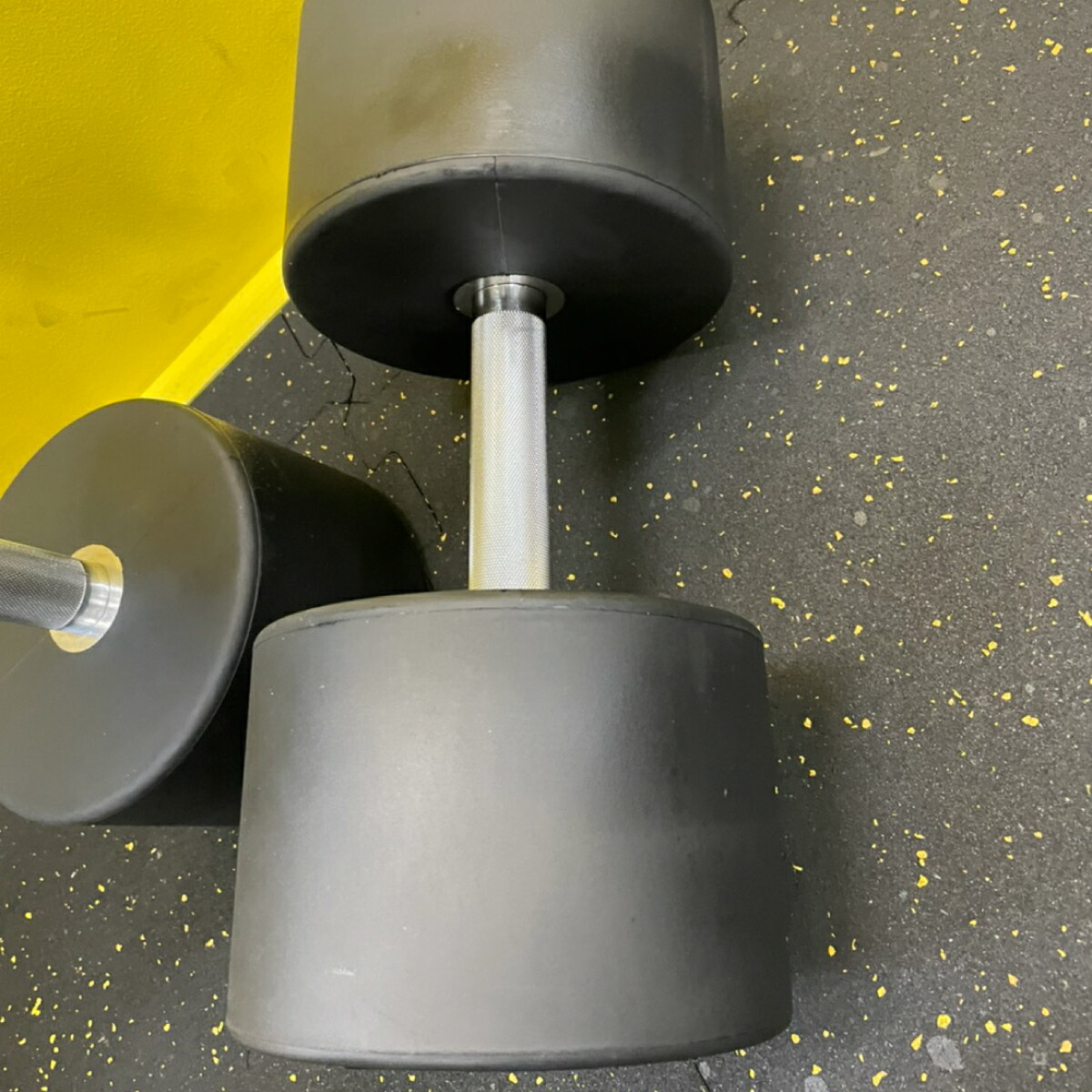 楽天市場】TPU ダンベル 50kg × 2個 セット バーベル メンズ