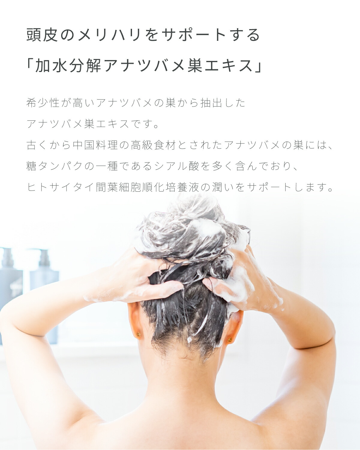 楽天市場】【Lekarka 公式】 モイスチャースムージングシャンプー