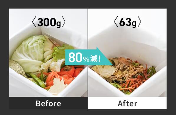 楽天市場】公式直営 loofen ルーフェン 家庭用 生ごみ処理機 生ごみ