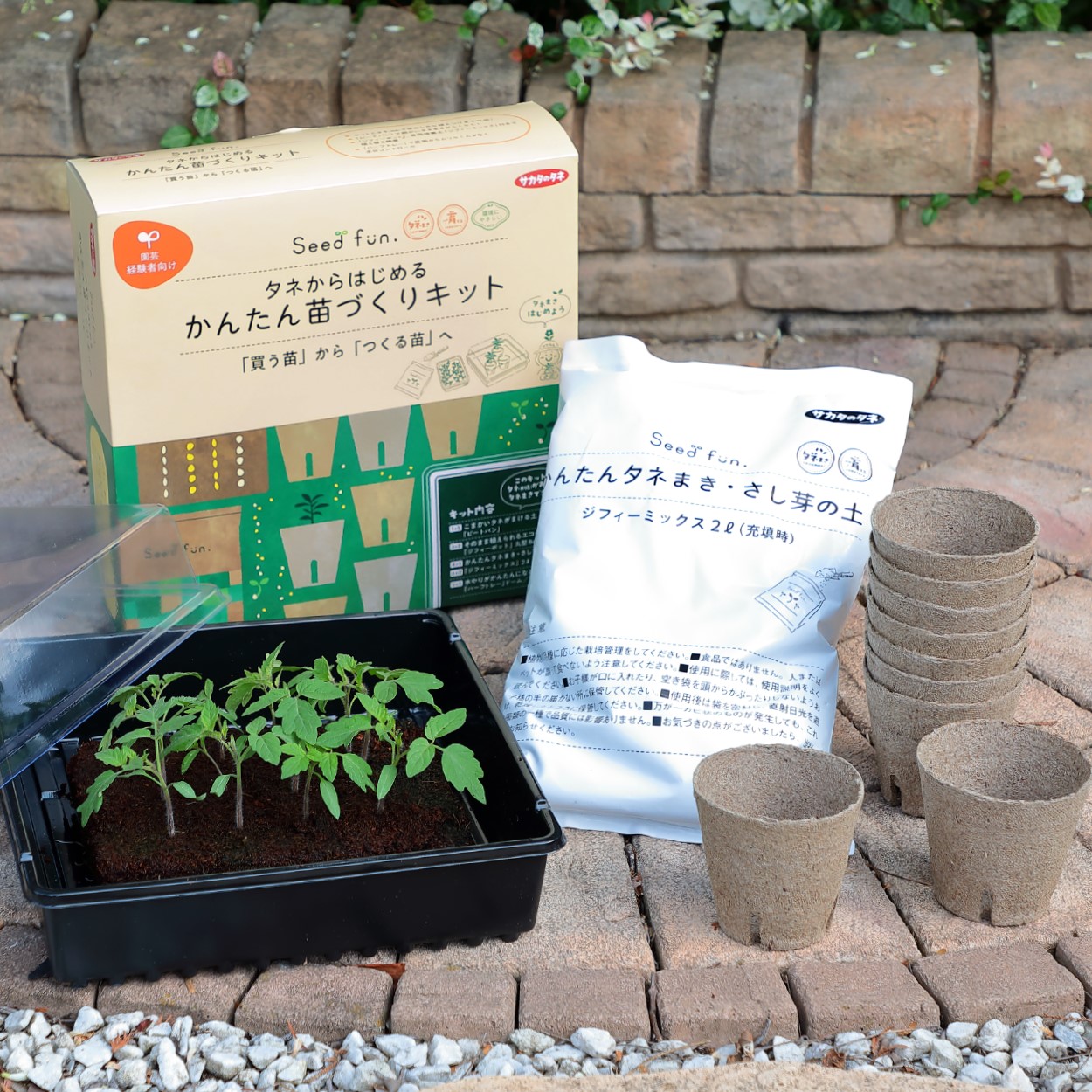 楽天市場】/ 送料無料 / サカタのタネ かんたん苗づくりキット