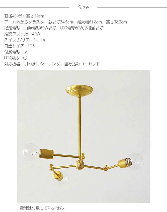 楽天市場】【5％OFFクーポン対象】 ACME Furniture アクメファニチャー