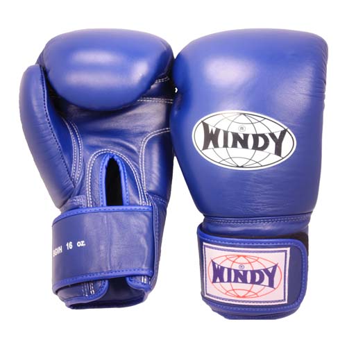楽天市場】【送料無料】Windy ウィンディー ボクシンググローブ 8 10