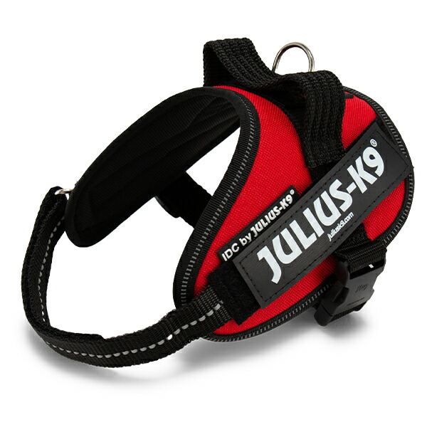 楽天市場】＼店内、SS限定SALE開催中／ ユリウスケーナイン Julius-K9