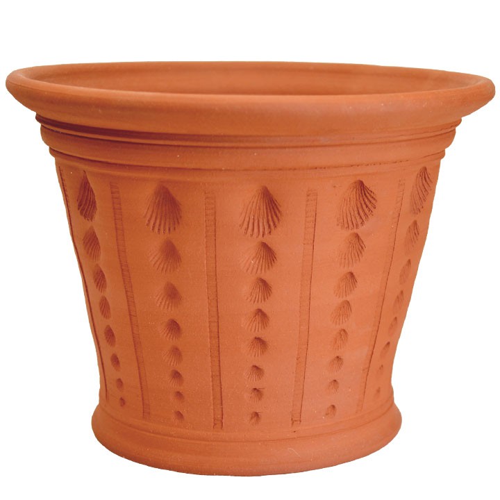 楽天市場】Whichford ウィッチフォード 植木鉢 大型 貝殻ポット 直径