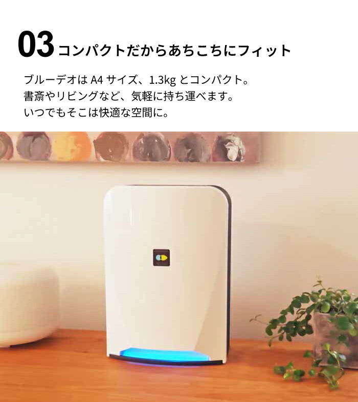 楽天市場】＼レビューで1000円クーポン!／ 【ポイント10倍】【○日本製