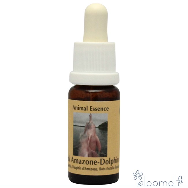 楽天市場】#93 ヒーリング・ザ・ハート・オブ・ザ・ソウル アンジェ