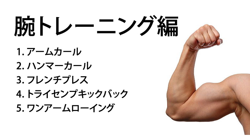 楽天市場】加圧ベルト「正規品」 DVD 実践トレーニング方法 腕用