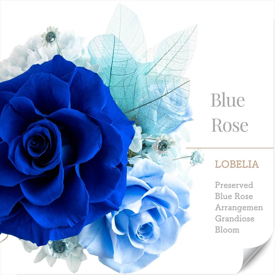 楽天市場】＼10％OFFクーポン／ プリザーブドフラワー 青いバラ ブルー