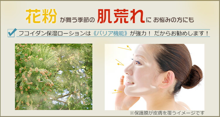 楽天市場】乾燥肌 無添加 高保湿 化粧水 フコイダン 保湿 ローション