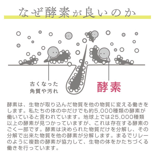 楽天市場】中山式 magico エンザイムバスパウダー 約15回分 酵素入浴剤
