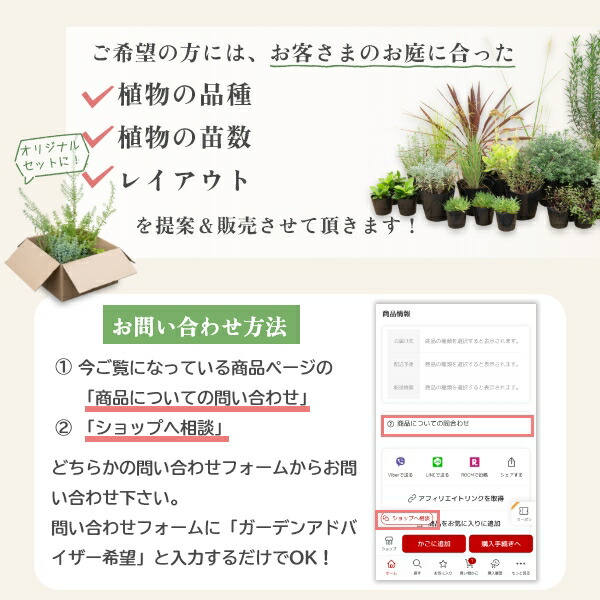 楽天市場】**3月中旬以降発送** ロックガーデンセット ［E］6種7個