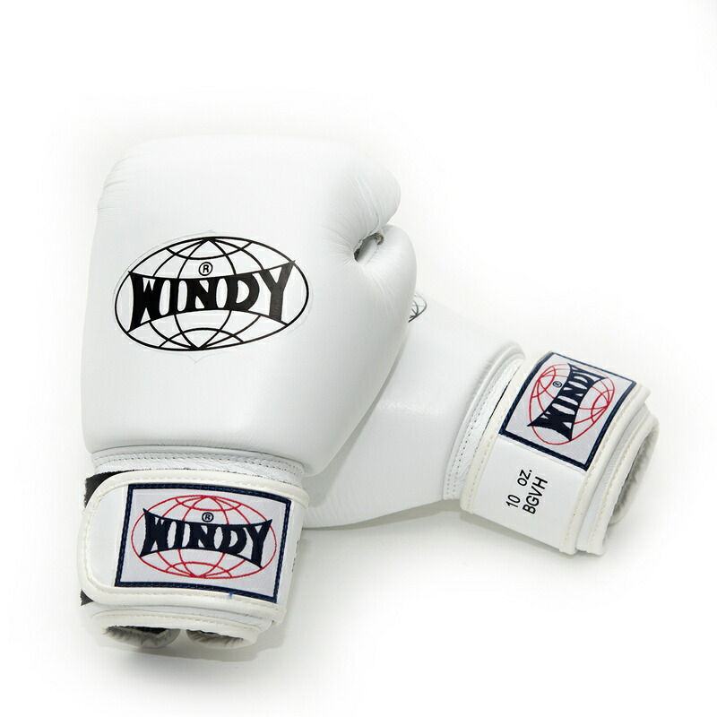 楽天市場】【日本総代理店】ランキング1位獲得 WINDY(ウィンディ) BGVH