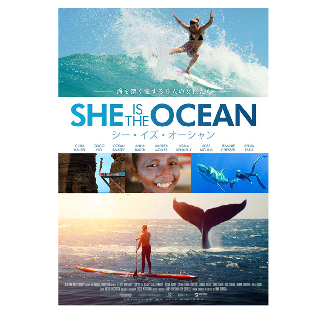 楽天市場】SHE IS THE OCEAN シー イズ オーシャン サーフィン DVD