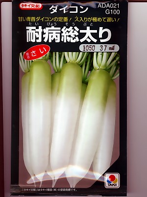 楽天市場】秋大根種 タキイ交配 耐病総太り大根 タキイ種苗の秋大根