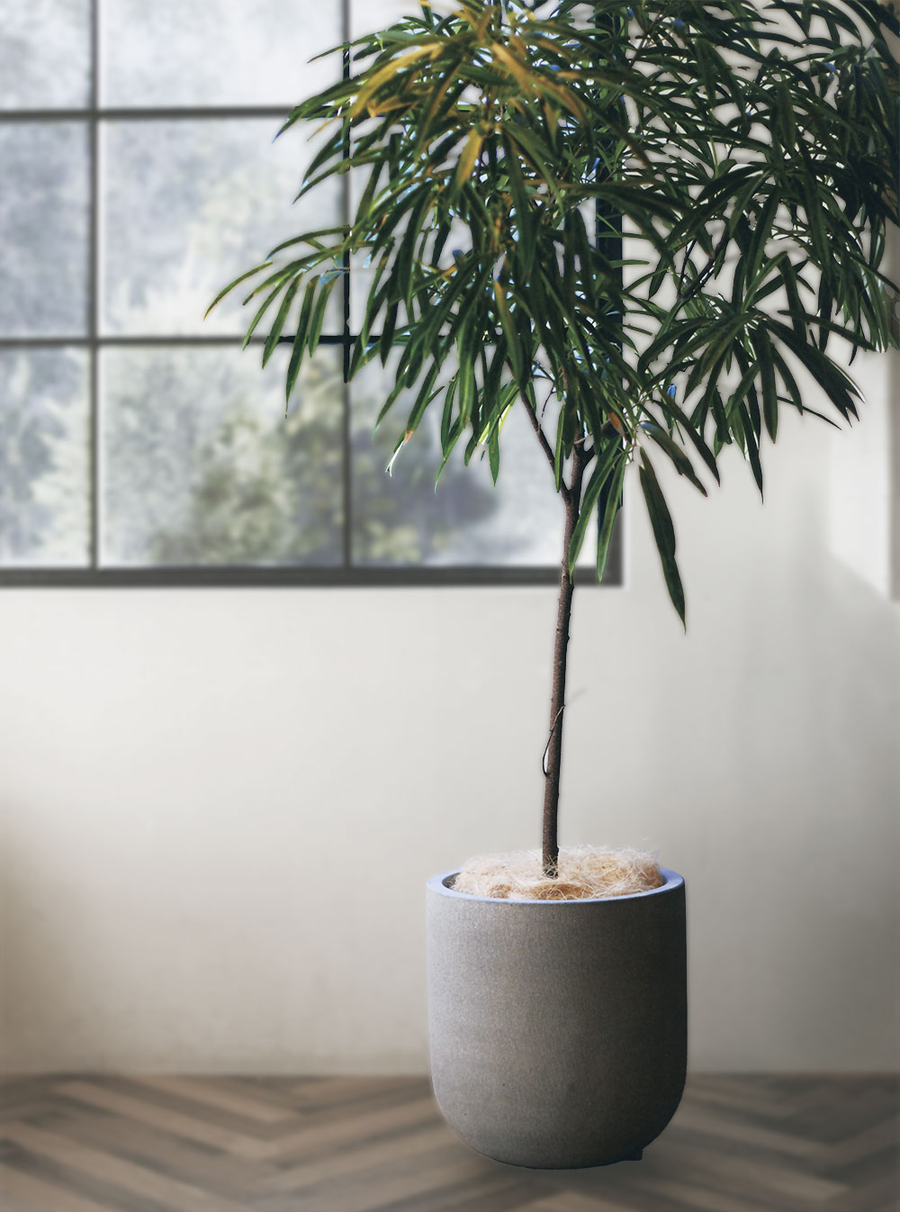 楽天市場】鉢カバー プランター カバー おしゃれ 大型 人気 ファイバー