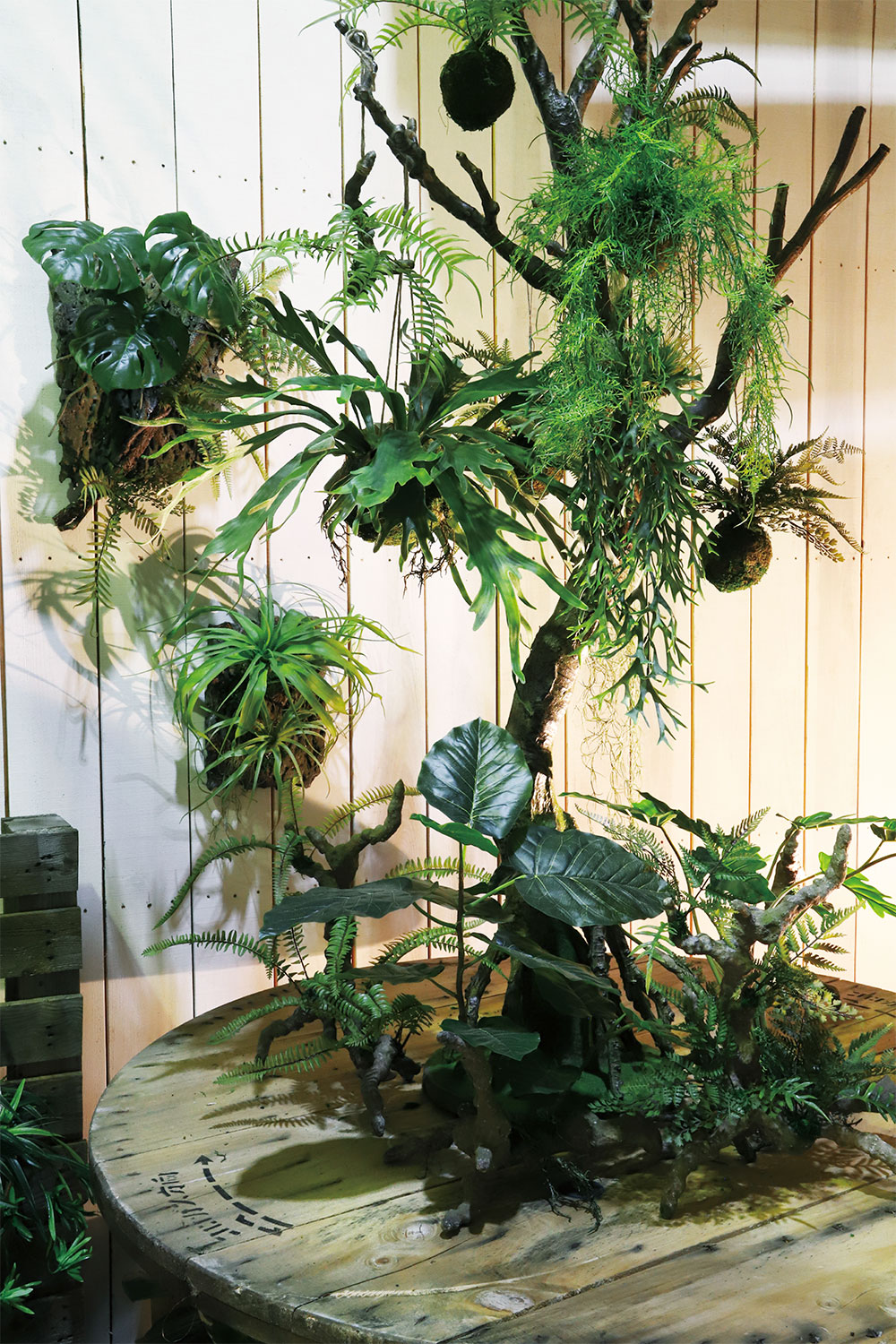 楽天市場】フェイクグリーン ビカクシダ コウモリラン スタッグホーン