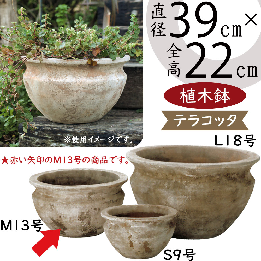 楽天市場】テラコッタ 植木鉢 大型 おしゃれ 人気 プランター おすすめ