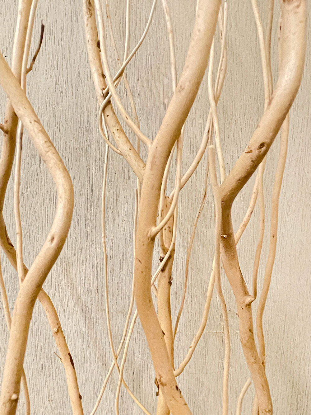 楽天市場】雲竜柳 うんりゅう柳 ドライフラワー おしゃれ 枝 N皮むき