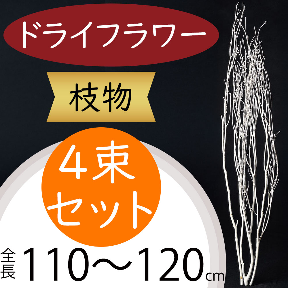 楽天市場】枝物 ドライフラワー おしゃれ ホワイト 白 人気 天然素材