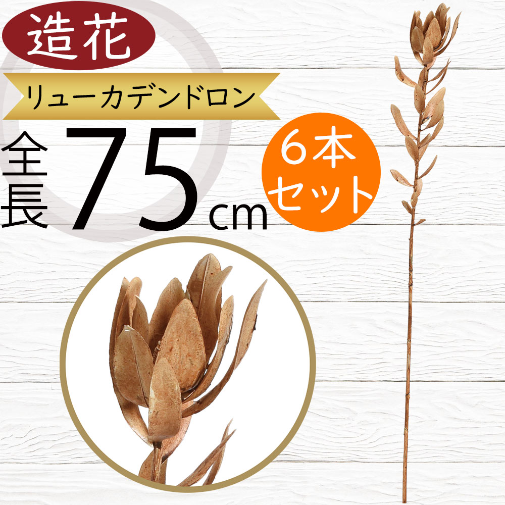 楽天市場】リューカデンドロン 造花 おしゃれ 人気 アーティフィシャル
