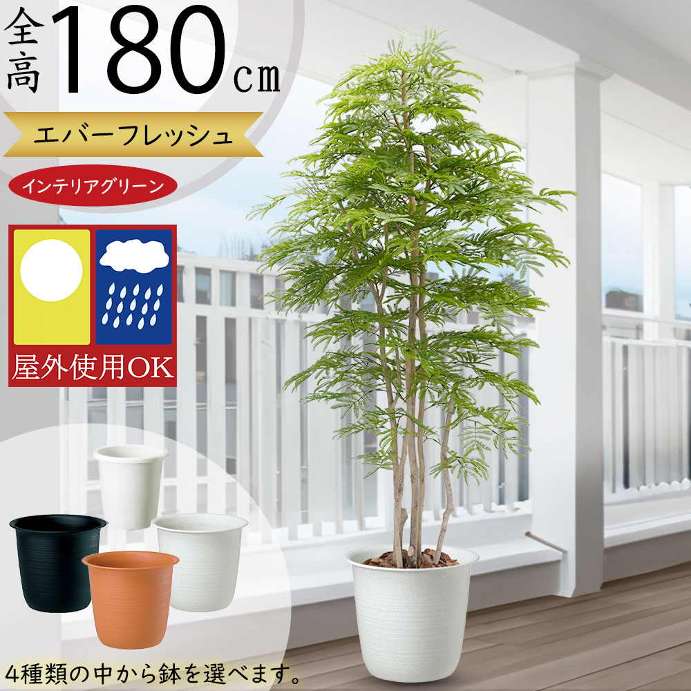 楽天市場】フェイクグリーン 屋外用 大型 おしゃれ ネムノキ