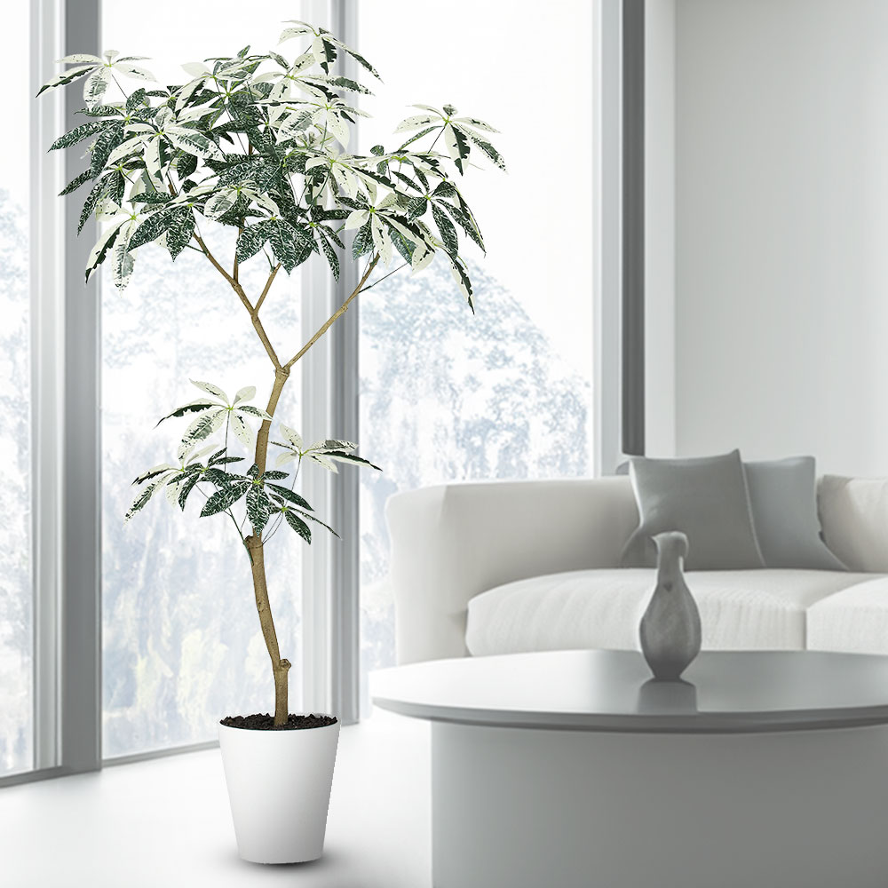 楽天市場】フェイクグリーン 観葉植物 パキラ ミルキーウェイ おしゃれ